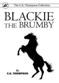 bokomslag Blackie The Brumby