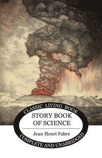 bokomslag The Storybook of Science