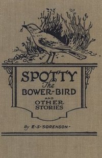 bokomslag Spotty the Bower Bird