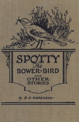 Spotty the Bower Bird 1