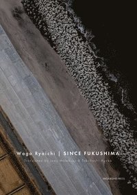 bokomslag Since Fukushima