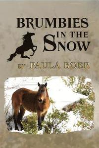 bokomslag Brumbies in the Snow