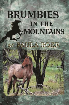 Brumbies in the Mountains 1