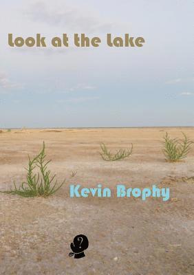 Kevin Brophy - Look at the Lake, Häftad