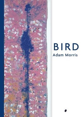 Adam Morris - Bird, Häftad