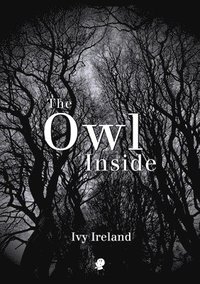 bokomslag Owl Inside