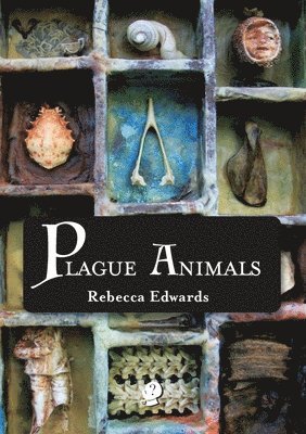 Plague Animals 1