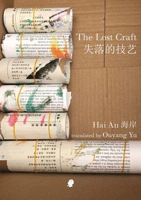 bokomslag The Lost Craft