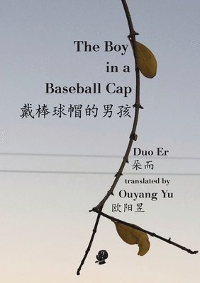 Boy In A Baseball Cap 1