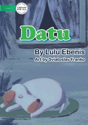 bokomslag Datu