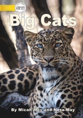 Big Cats 1