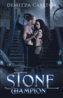 bokomslag Stone Champion