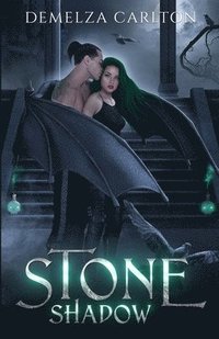 bokomslag Stone Shadow