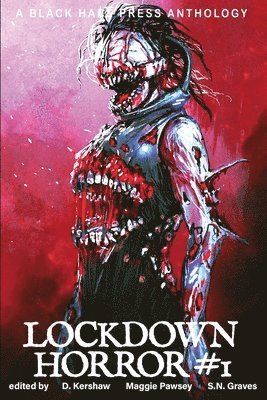 bokomslag Lockdown Horror #1