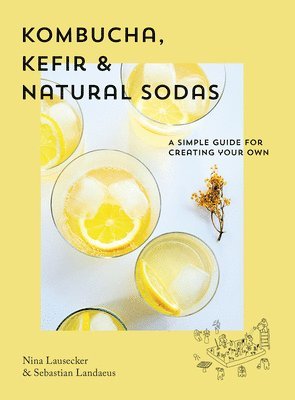 Kombucha, Kefir & Natural Sodas 1
