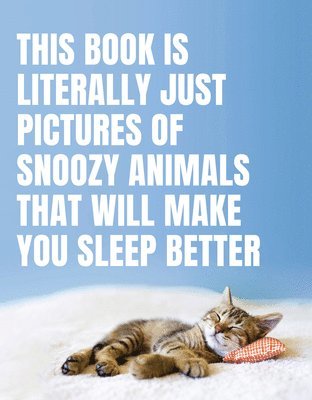 bokomslag This Book Is Literally Just Pictures of Snoozy Animals That Will Make You Sleep Better