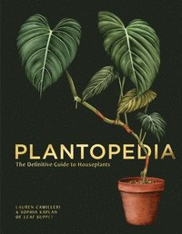 bokomslag Plantopedia: The Definitive Guide to House Plants