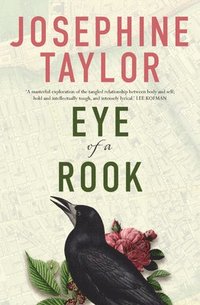 bokomslag Eye of a Rook