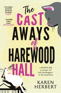 bokomslag The Cast Aways of Harewood Hall