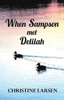 bokomslag When Sampson met Delilah