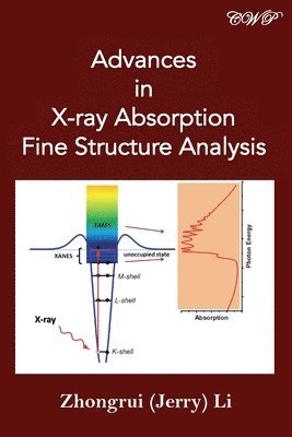 bokomslag Advances in X-ray Absorption Fine Structure Analysis