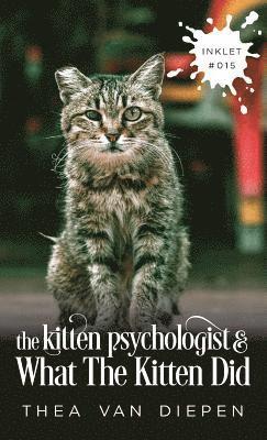 Kitten Psychologist And What The Kitten Did