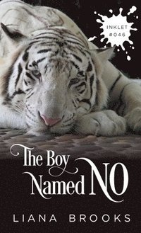 bokomslag Boy Named No