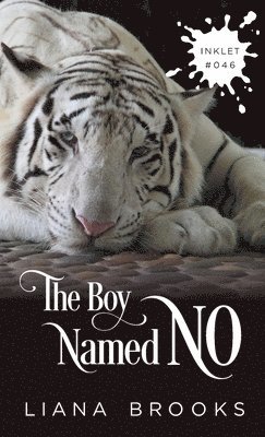 bokomslag Boy Named No