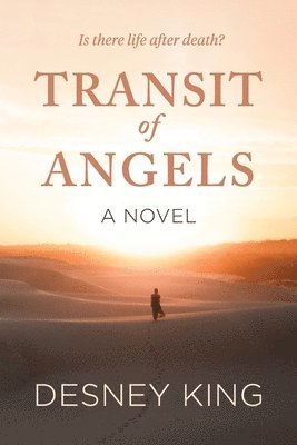 bokomslag Transit of Angels