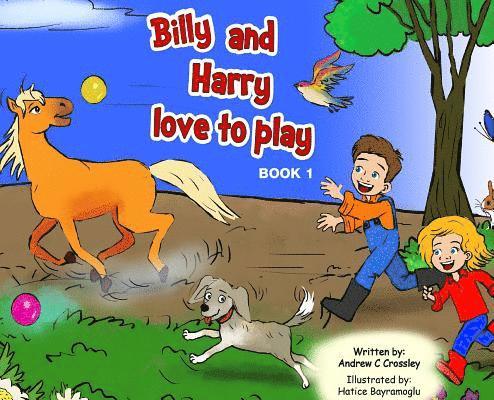 Billy and Harry Love to Play 1