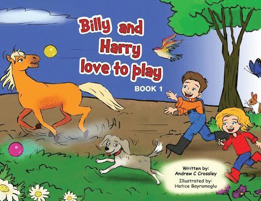 Billy and Harry Love to Play 1