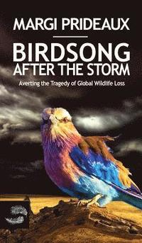 bokomslag Birdsong After the Storm