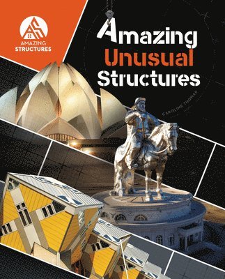 Amazing Unusual Structures 1