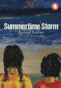 bokomslag Summertime Storm