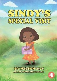 bokomslag Sindy's Special Visit
