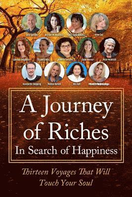 bokomslag In Search of Happiness: A Journey of Riches