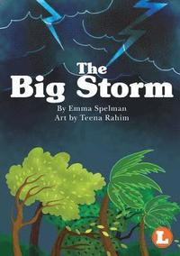 bokomslag The Big Storm