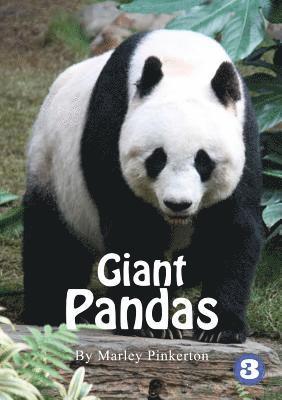 Pandas 1