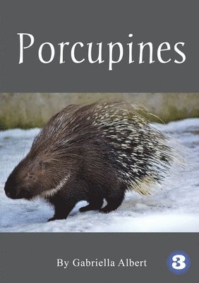 bokomslag Porcupines