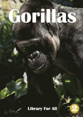 Gorillas 1