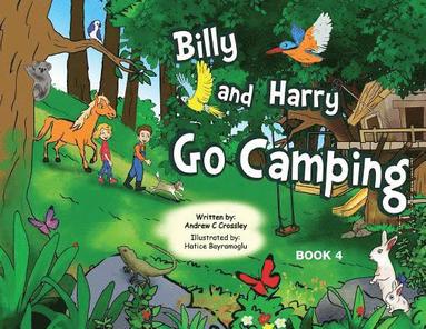 bokomslag Billy and Harry Go Camping