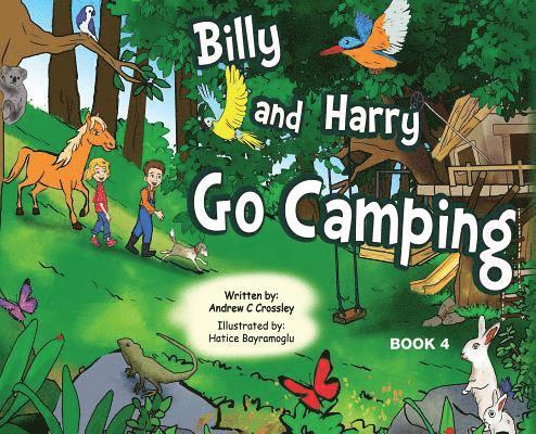 Andrew Crossley - Billy and Harry Go Camping, Inbunden