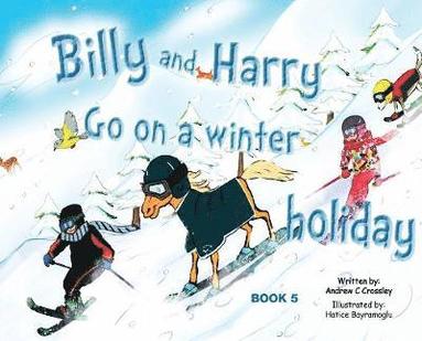 bokomslag Billy and Harry Go on a Winter Holiday