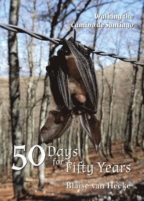 50 Days for Fifty Years 1