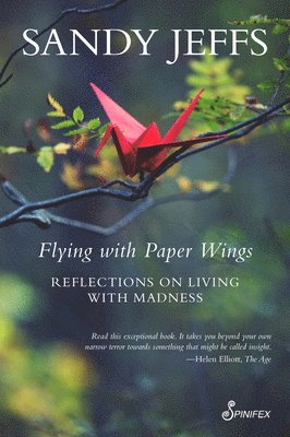 Flying with Paper Wings 1