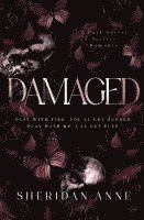 bokomslag Damaged