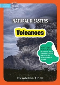 bokomslag Volcanoes
