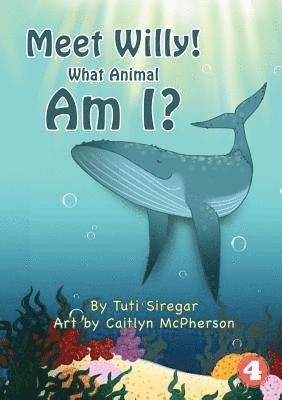 Meet Willy! What Animal Am I? 1