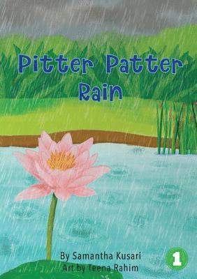bokomslag Pitter Patter Rain