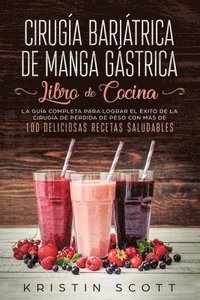 bokomslag Cirugia Bariatrica de Manga Gastrica - Libro de Cocina